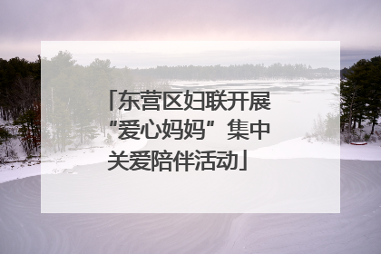 东营区妇联开展“爱心妈妈”集中关爱陪伴活动