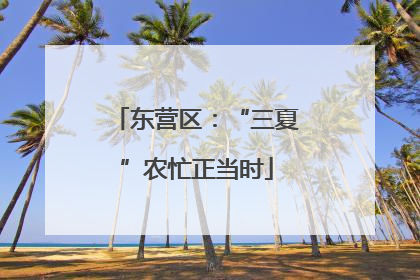 东营区：“三夏”农忙正当时