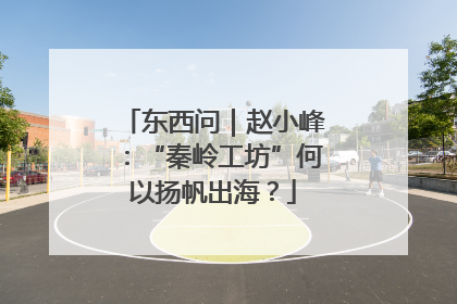 东西问｜赵小峰：“秦岭工坊”何以扬帆出海？