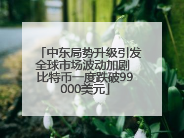 中东局势升级引发全球市场波动加剧 比特币一度跌破99000美元