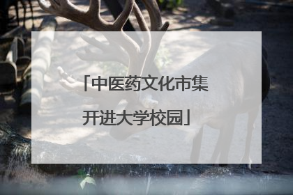 中医药文化市集开进大学校园