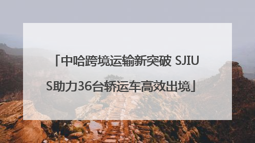 中哈跨境运输新突破 SJIUS助力36台轿运车高效出境