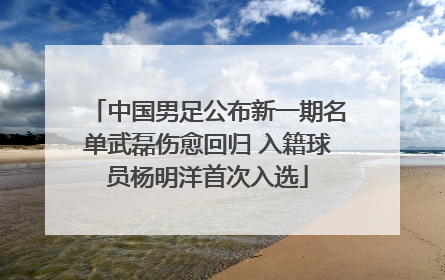 中国男足公布新一期名单武磊伤愈回归 入籍球员杨明洋首次入选