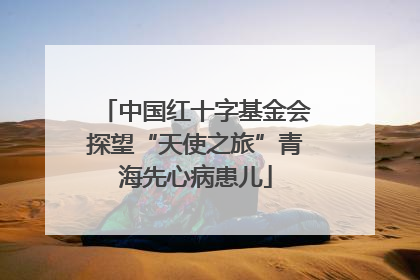 中国红十字基金会探望“天使之旅”青海先心病患儿