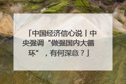 中国经济信心说丨中央强调“做强国内大循环”，有何深意？