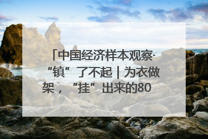 中国经济样本观察·“镇”了不起｜为衣做架，“挂”出来的80亿元“衣架产业”