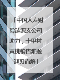 中国人寿财险涟源支公司助力，十甲村黄桃销售难题迎刃而解
