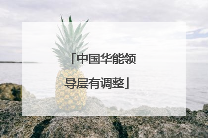 中国华能领导层有调整