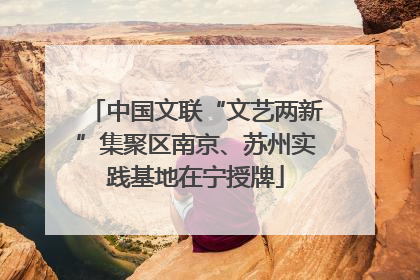 中国文联“文艺两新”集聚区南京、苏州实践基地在宁授牌