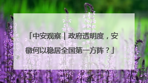 中安观察｜政府透明度，安徽何以稳居全国第一方阵？