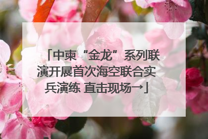 中柬“金龙”系列联演开展首次海空联合实兵演练 直击现场→