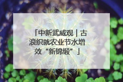 中新武威观｜古浪织就农业节水增效“新锦缎”