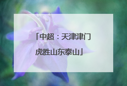 中超：天津津门虎胜山东泰山