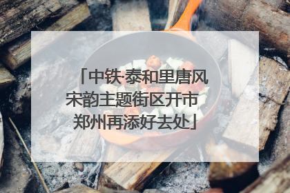 中铁·泰和里唐风宋韵主题街区开市 郑州再添好去处