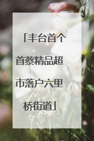 丰台首个首蔡精品超市落户六里桥街道