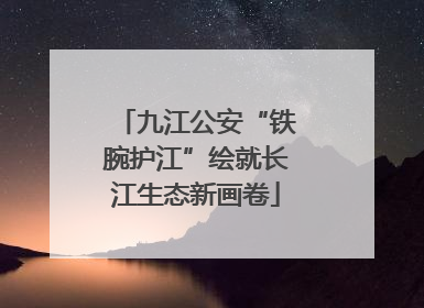 九江公安“铁腕护江”绘就长江生态新画卷