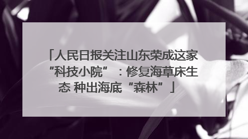 人民日报关注山东荣成这家“科技小院”：修复海草床生态 种出海底“森林”