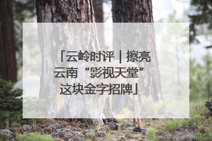 云岭时评｜擦亮云南“影视天堂”这块金字招牌