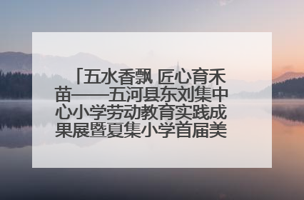 五水香飘 匠心育禾苗——五河县东刘集中心小学劳动教育实践成果展暨夏集小学首届美食节盛大举行
