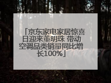 京东家电家居惊喜日迎来董明珠 带动空调品类销量同比增长100%