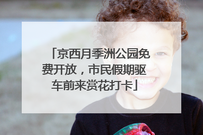 京西月季洲公园免费开放，市民假期驱车前来赏花打卡
