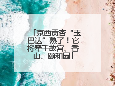 京西贡杏“玉巴达”熟了！它将牵手故宫、香山、颐和园