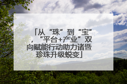 从“珠”到“宝”，“平台+产业”双向赋能行动助力诸暨珍珠升级蜕变
