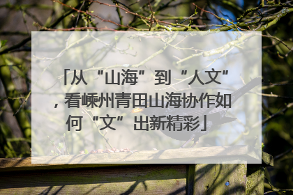 从“山海”到“人文”，看嵊州青田山海协作如何“文”出新精彩