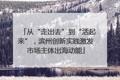 从“走出去”到“活起来”，滨州创新实践激发市场主体出海动能