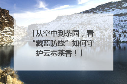 从空中到茶园，看“藏蓝防线”如何守护云雾茶香！