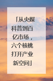 从央媒科普到百亿市场，六个核桃打开产业新空间