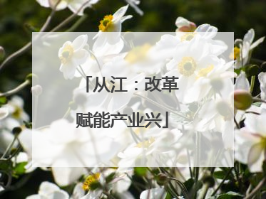 从江：改革赋能产业兴