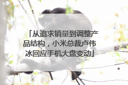 从追求销量到调整产品结构，小米总裁卢伟冰回应手机大盘变动