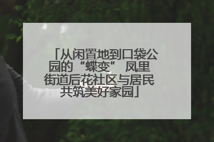 从闲置地到口袋公园的“蝶变” 凤里街道后花社区与居民共筑美好家园