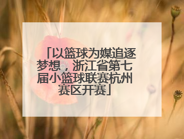 以篮球为媒追逐梦想，浙江省第七届小篮球联赛杭州赛区开赛
