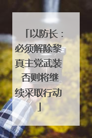 以防长：必须解除黎真主党武装 否则将继续采取行动