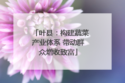 叶县：构建蔬菜产业体系 带动群众增收致富