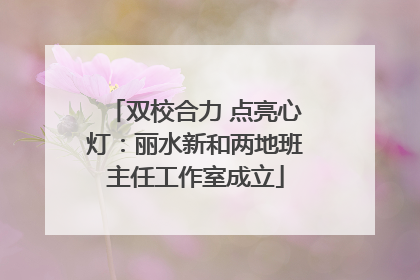 双校合力 点亮心灯：丽水新和两地班主任工作室成立