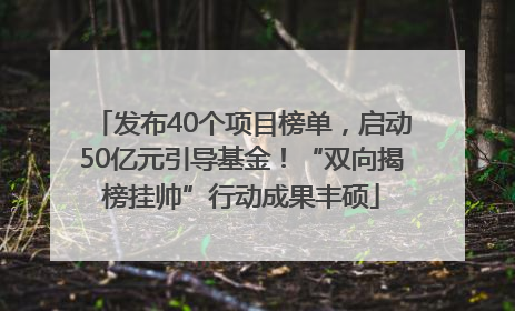 发布40个项目榜单，启动50亿元引导基金！“双向揭榜挂帅”行动成果丰硕