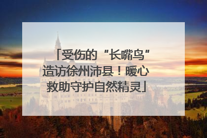 受伤的“长嘴鸟”造访徐州沛县！暖心救助守护自然精灵