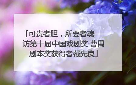 可贵者胆，所要者魂——访第十届中国戏剧奖·曹禺剧本奖获得者戴先良