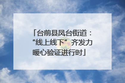 台前县凤台街道：“线上线下”齐发力 暖心验证进行时