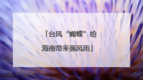 台风“蝴蝶”给海南带来强风雨