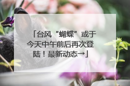 台风“蝴蝶”或于今天中午前后再次登陆！最新动态→