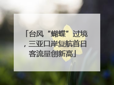 台风“蝴蝶”过境，三亚口岸复航首日客流量创新高