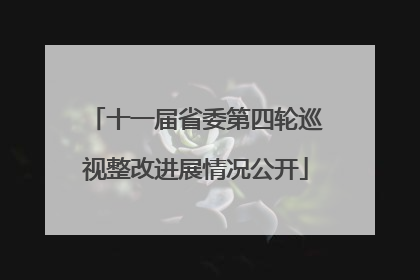 十一届省委第四轮巡视整改进展情况公开