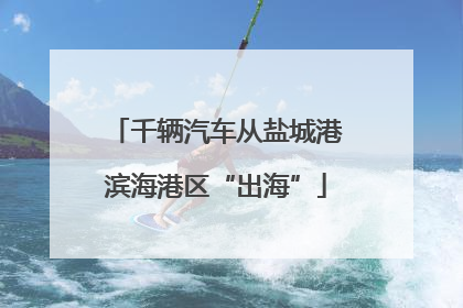 千辆汽车从盐城港滨海港区“出海”