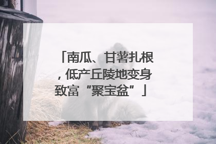 南瓜、甘薯扎根，低产丘陵地变身致富“聚宝盆”