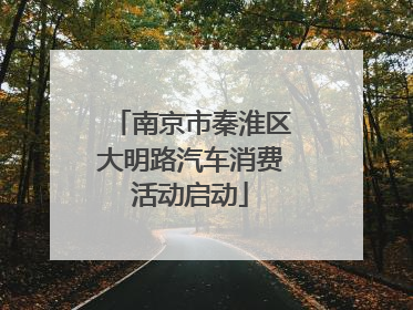 南京市秦淮区大明路汽车消费活动启动