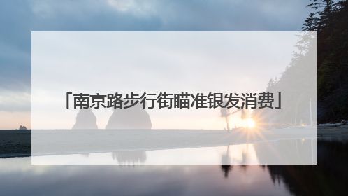 南京路步行街瞄准银发消费